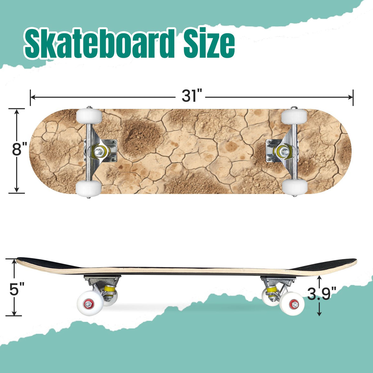 Vintage Movie Theater Classic Cinema 31" x 8" Complete Skateboard, 7-Ply Canadian Maple Double Kick Trick Board for Kids and Beginners Adult Gifts