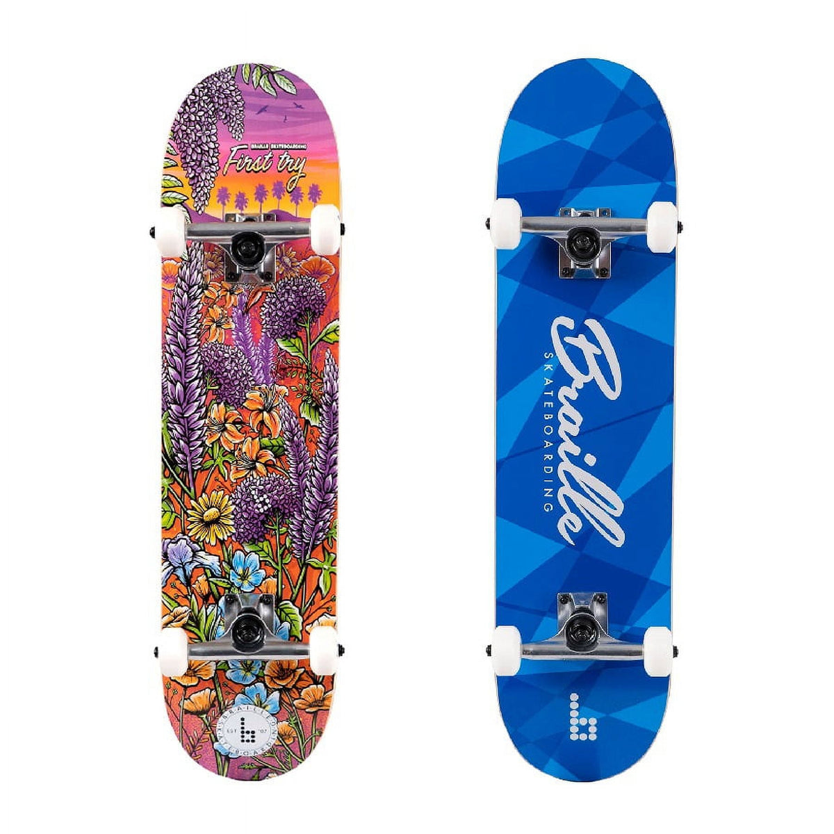 Braille Skateboarding - Multicolor, 31 In. x 7.75 In. Complete Skateboard, with 7-Ply Maple Deck and Abec-7 Bearings