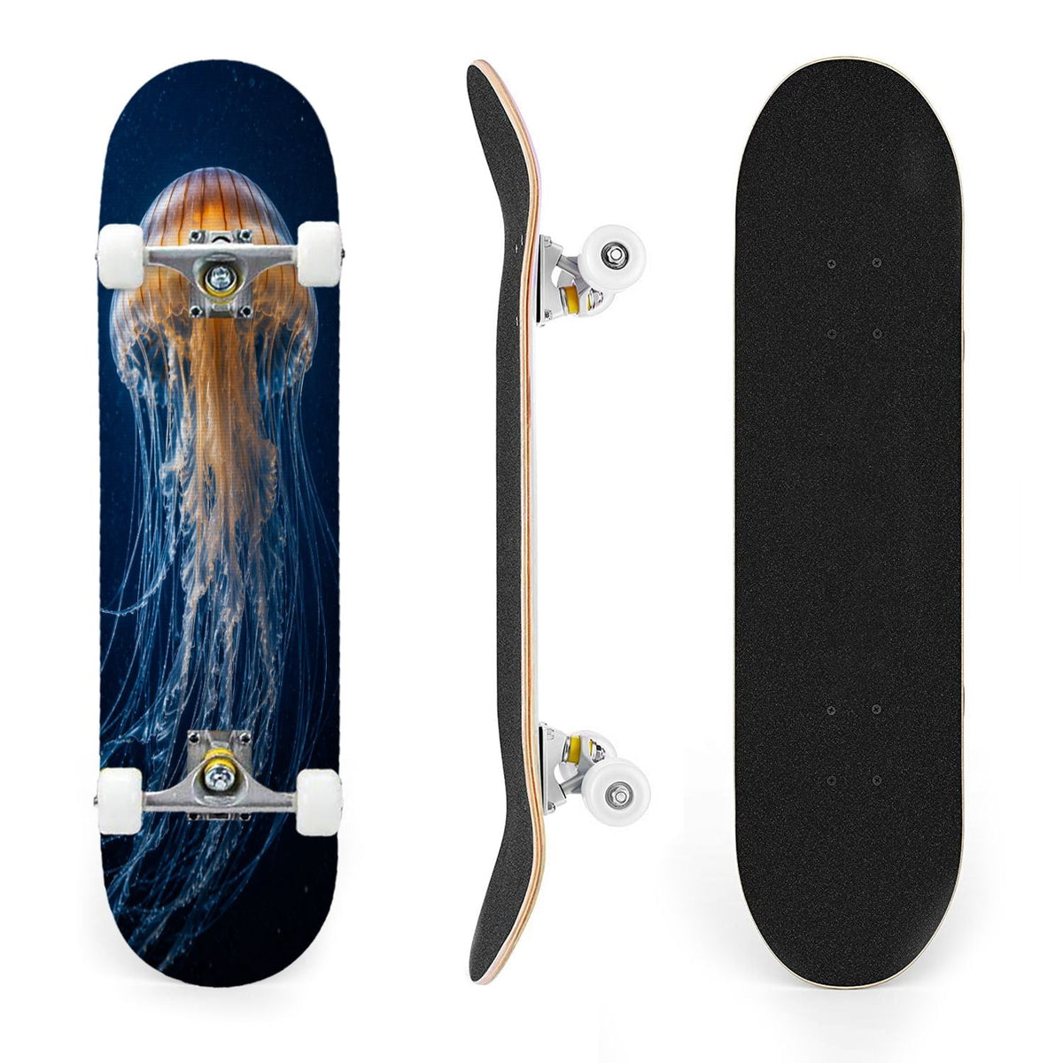 31"x8" Complete Skateboards for Beginners, Seashell Starfish Blue White Nautical Marine Life Double Kick 7 Ply Canadian Maple Deck Skateboard with Wheels, Gifts for Kids Teens
