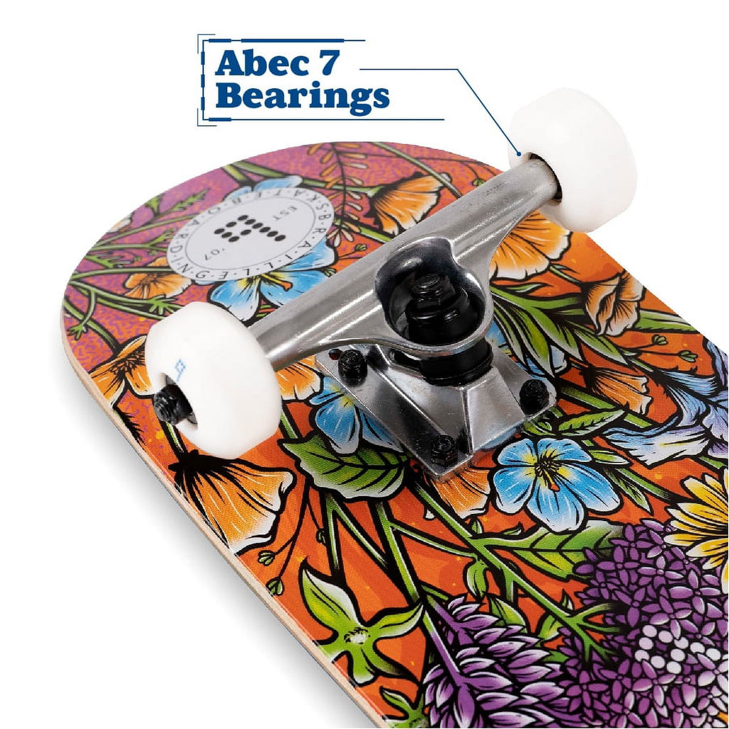 Braille Skateboarding - Multicolor, 31 In. x 7.75 In. Complete Skateboard, with 7-Ply Maple Deck and Abec-7 Bearings