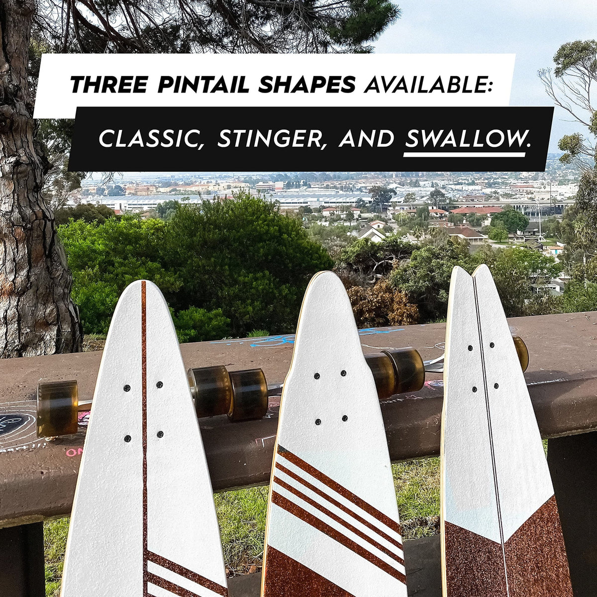 Magneto 40-inch Pintail Cruiser Longboard Skateboard - Hard Maple Core Long Board Deck for Commuting, Cruising, Carving - Suitable for Adults, Teens & Kids (Swallow)