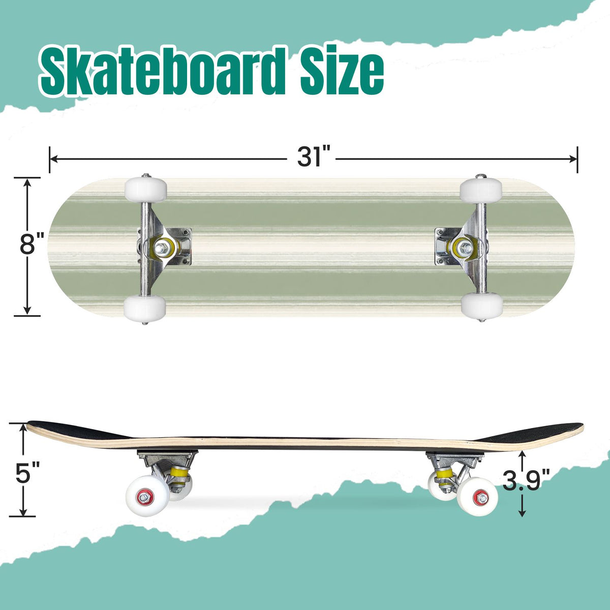 Botanical Floral Peonies Hummingbirds 31" x 8" Complete Skateboard, 7-Ply Canadian Maple Double Kick Trick Board for Kids and Beginners Adult Gifts