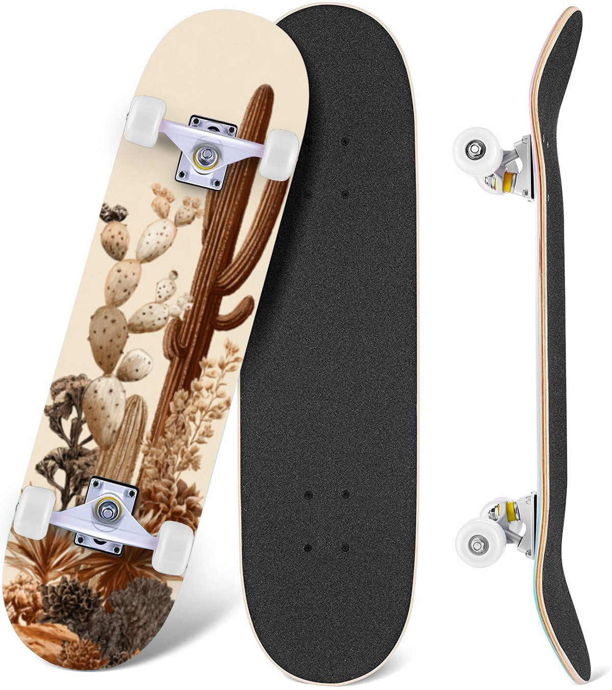 Seashells Starfish Sandy Beach Soft Lighting 31" x 8" Complete Skateboard, 7-Ply Canadian Maple Double Kick Trick Board for Kids and Beginners Adult Gifts