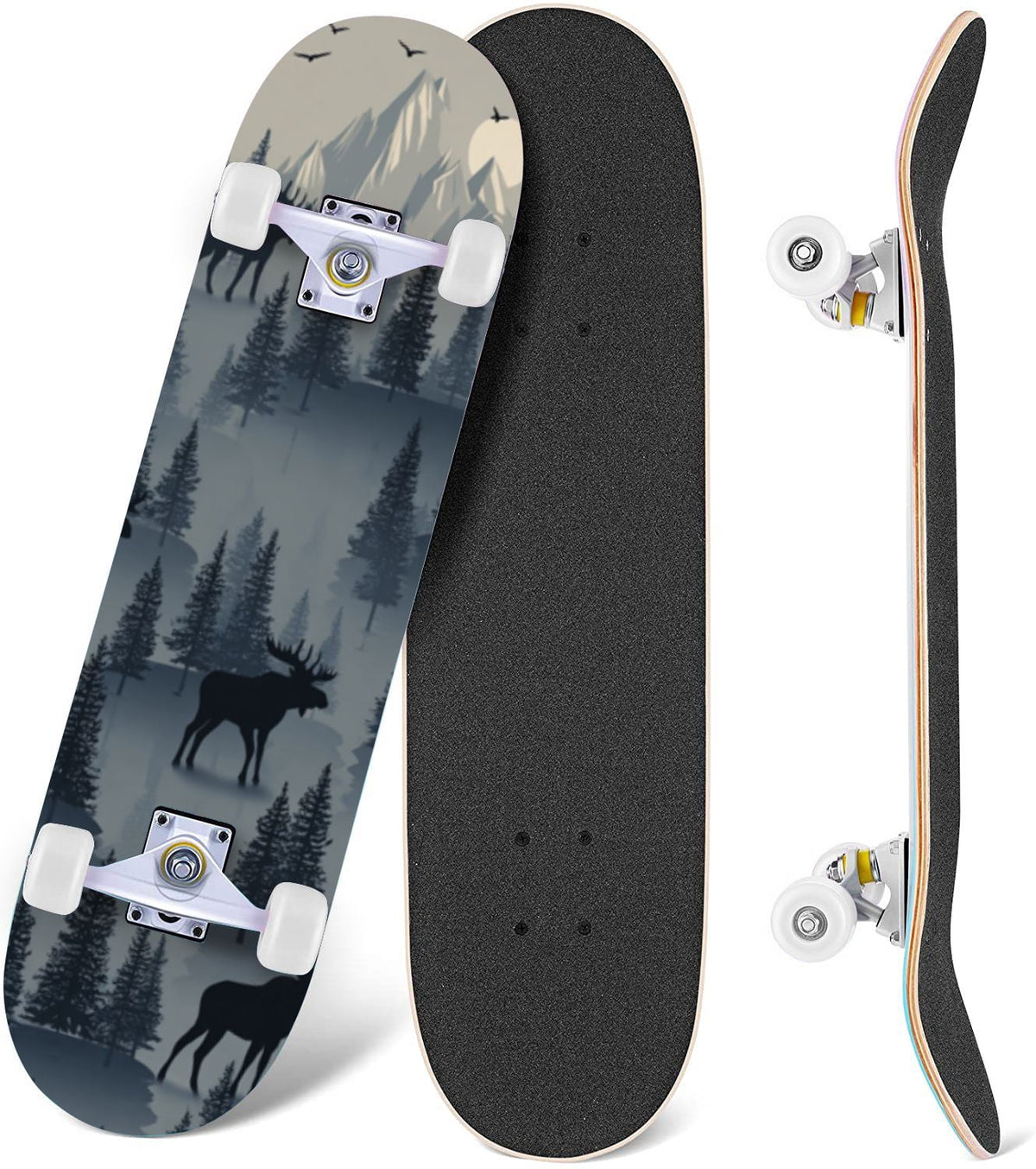 Botanical Floral Peonies Hummingbirds 31" x 8" Complete Skateboard, 7-Ply Canadian Maple Double Kick Trick Board for Kids and Beginners Adult Gifts