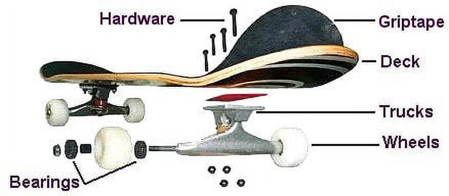 World Industries Toothache Deck 8.3 - Assembled AS Complete Skateboard