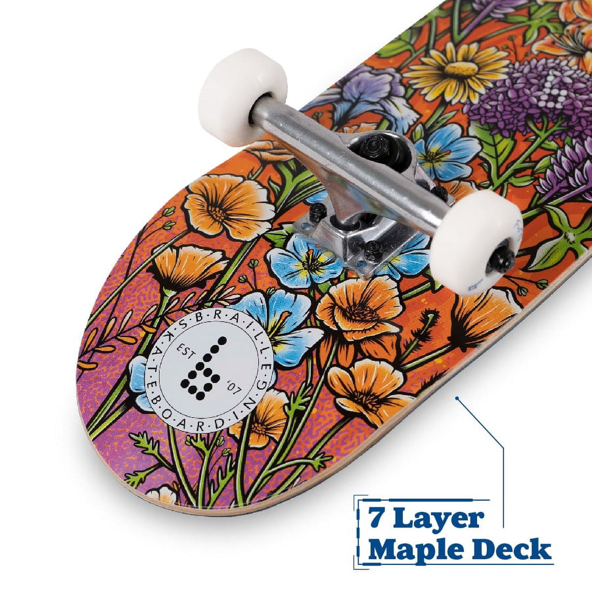 Braille Skateboarding - Multicolor, 31 In. x 7.75 In. Complete Skateboard, with 7-Ply Maple Deck and Abec-7 Bearings